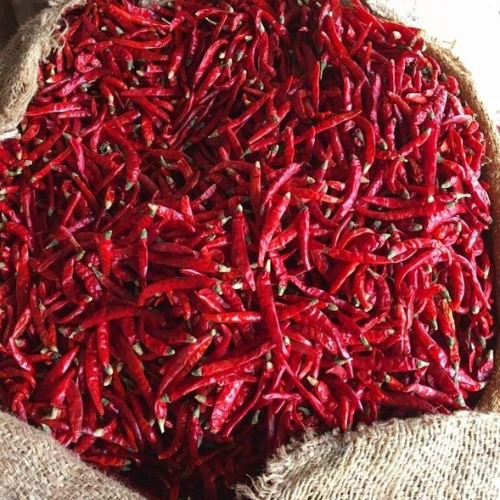 Dried Whole Red Chilli image 4